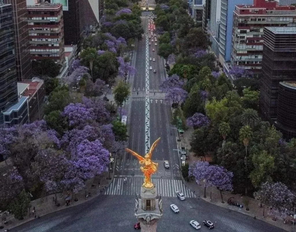 An aerial view of a city street lined with purple-blossoming trees and tall buildings, with a large golden statue of a winged figure atop a column at the intersection.
