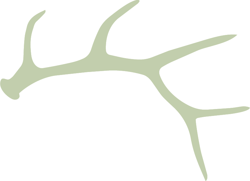 Elk-Shed-Wells-Creative-Co