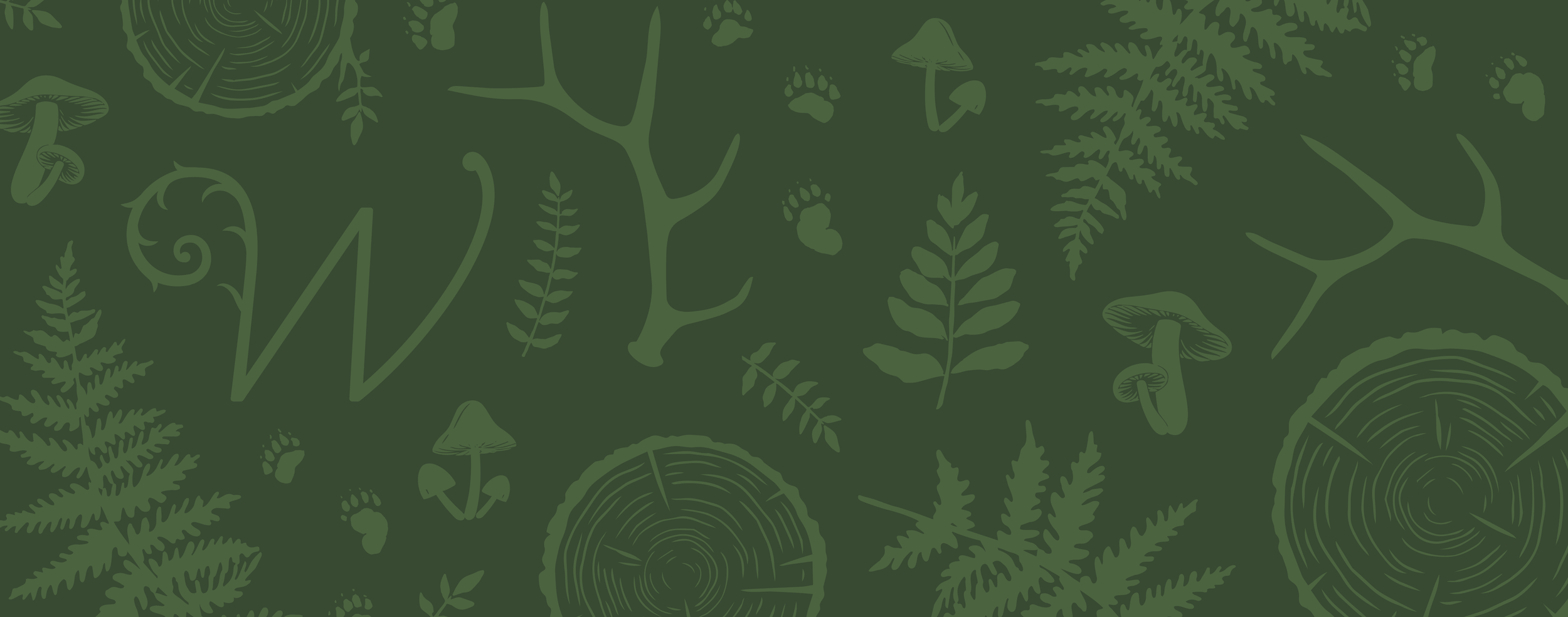 Wells-Creative-Co-PNW-Background