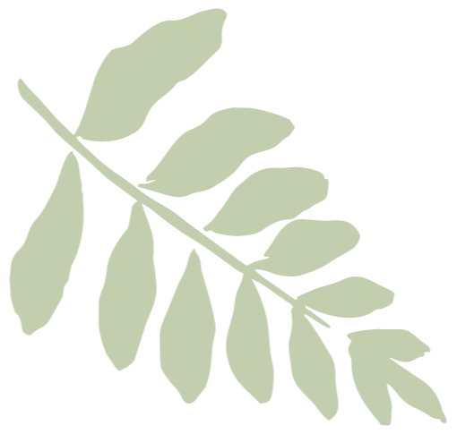 Wells-Creative-Co-plant-design