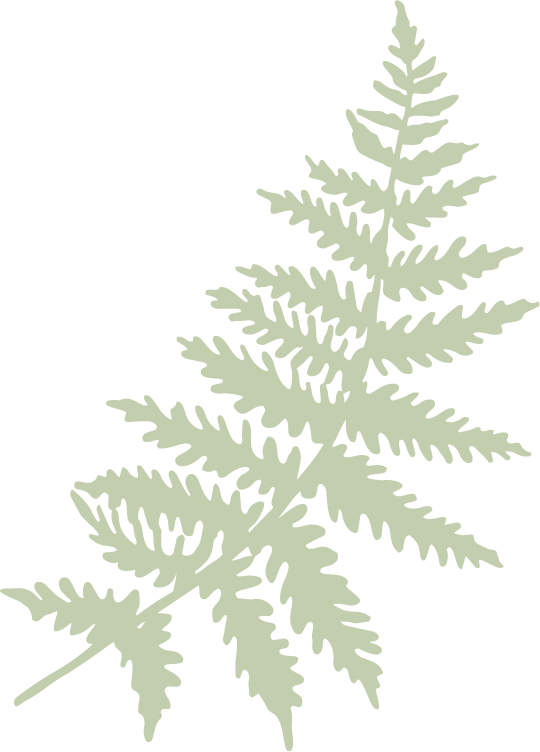 Fern-Wells-Creative-Co