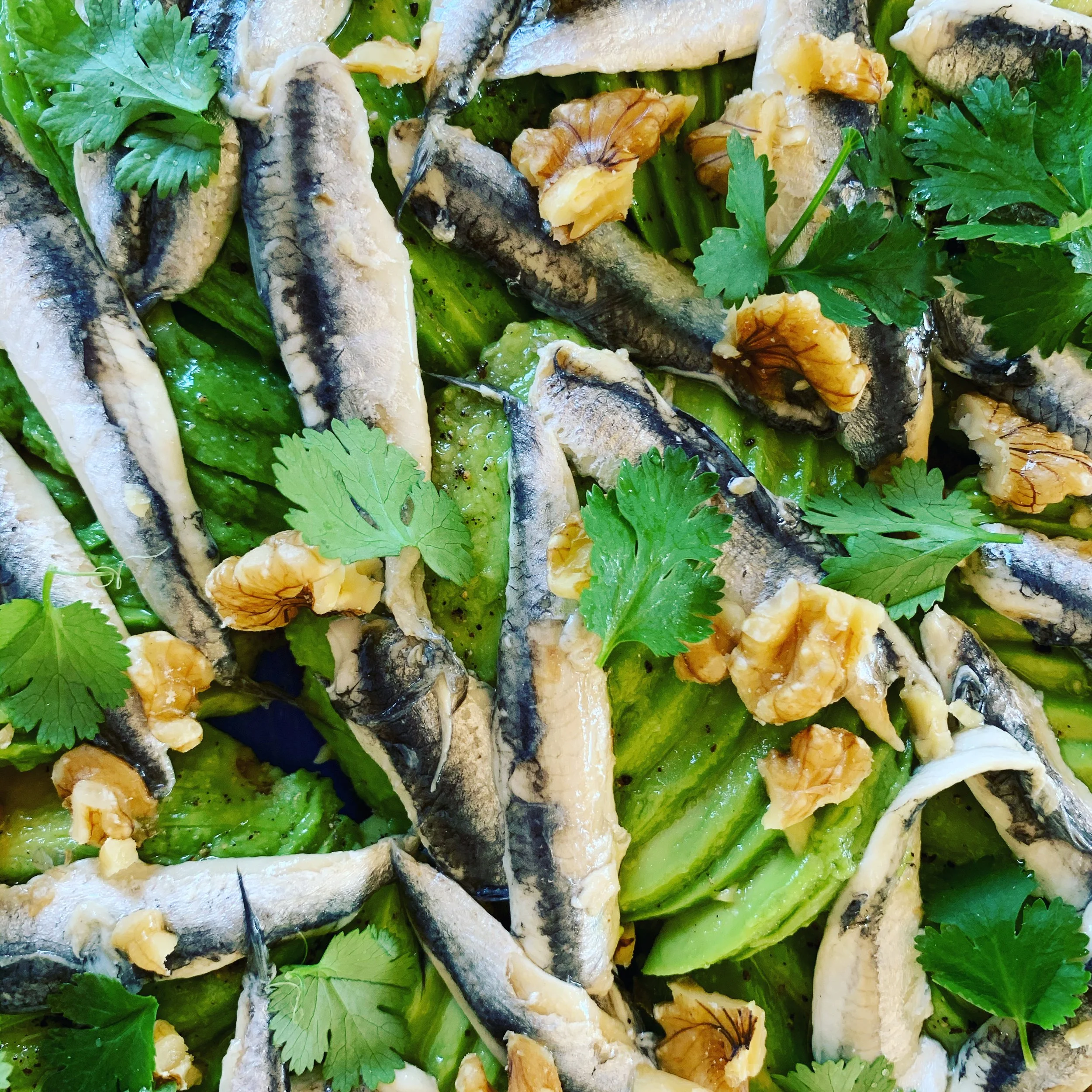 Carpaccio d'avocat, sardine.