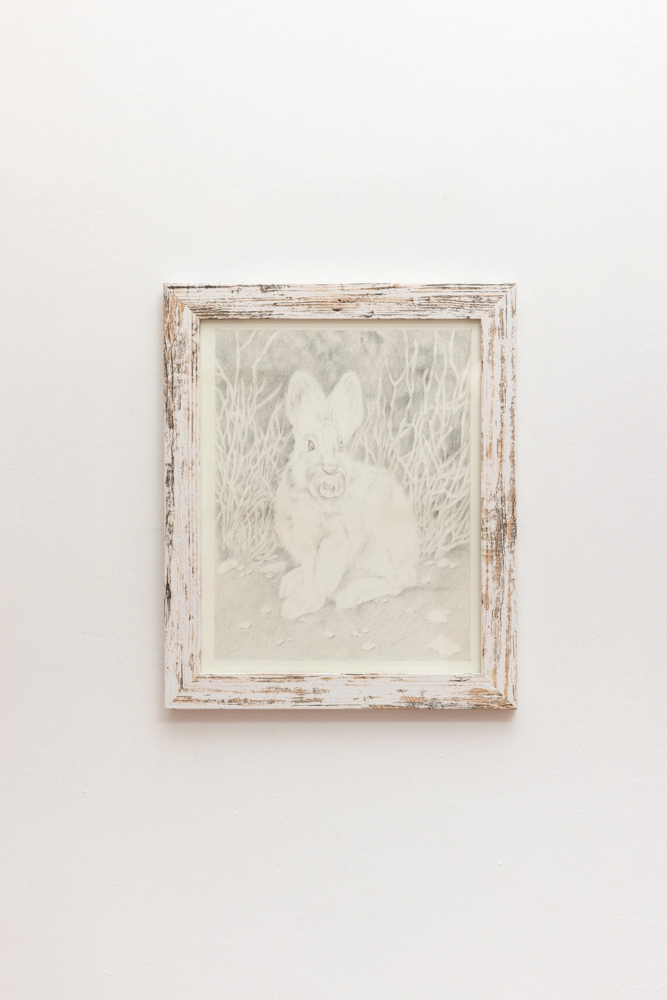 image_processing20240503-2-elnnmo.jpg