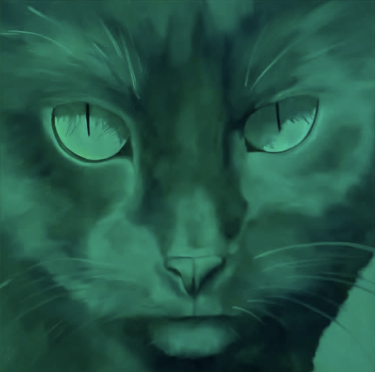 Claire HarnEnz_Cat.png