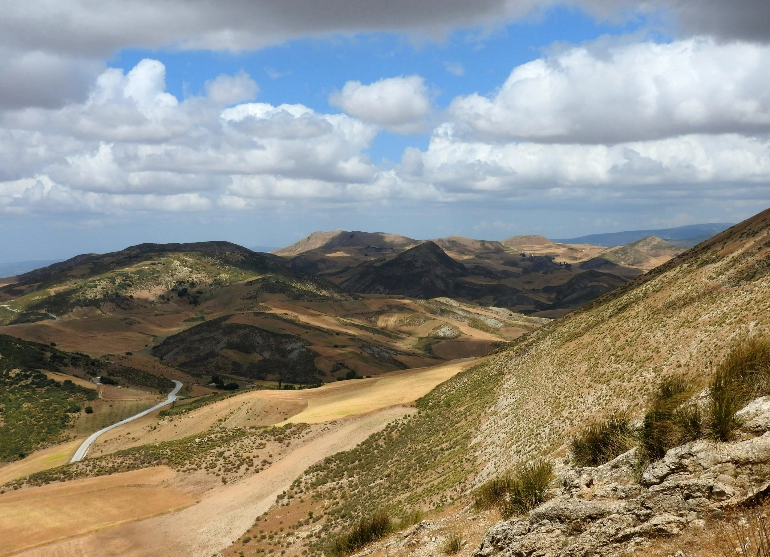 Investir en Algérie depuis la France