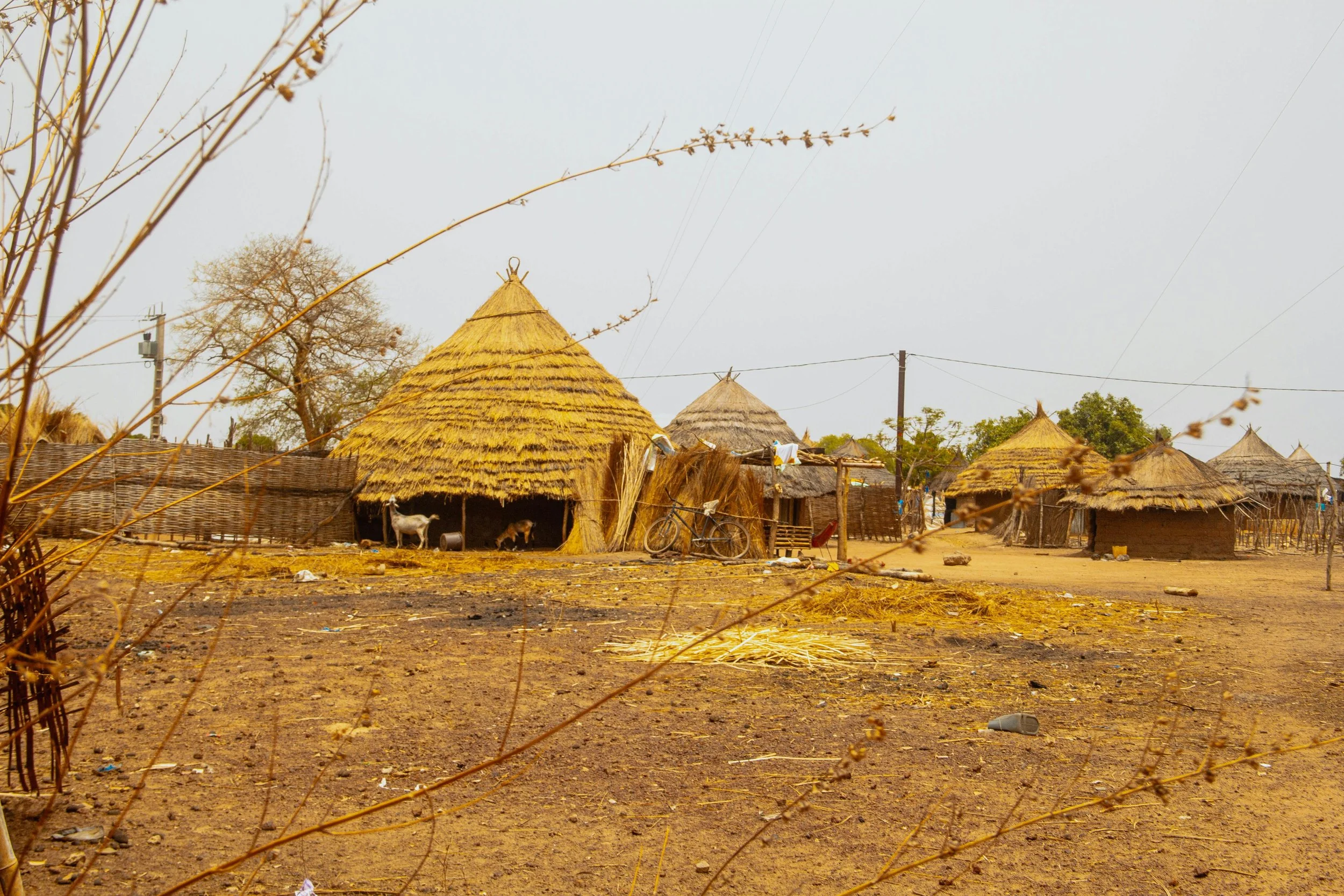 Investir au Sénégal depuis la France — Guide 2026