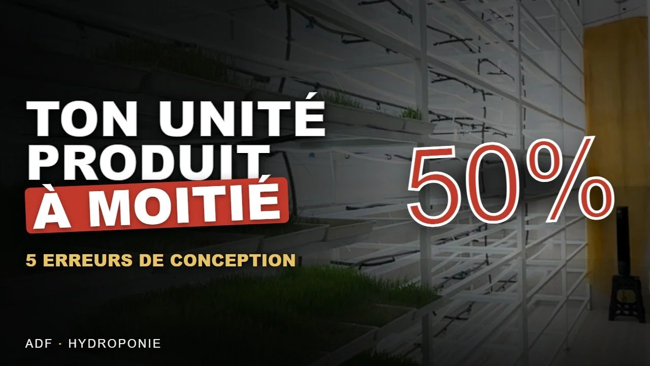 5 erreurs de conception qui ruinent une unité de fourrage hydroponique