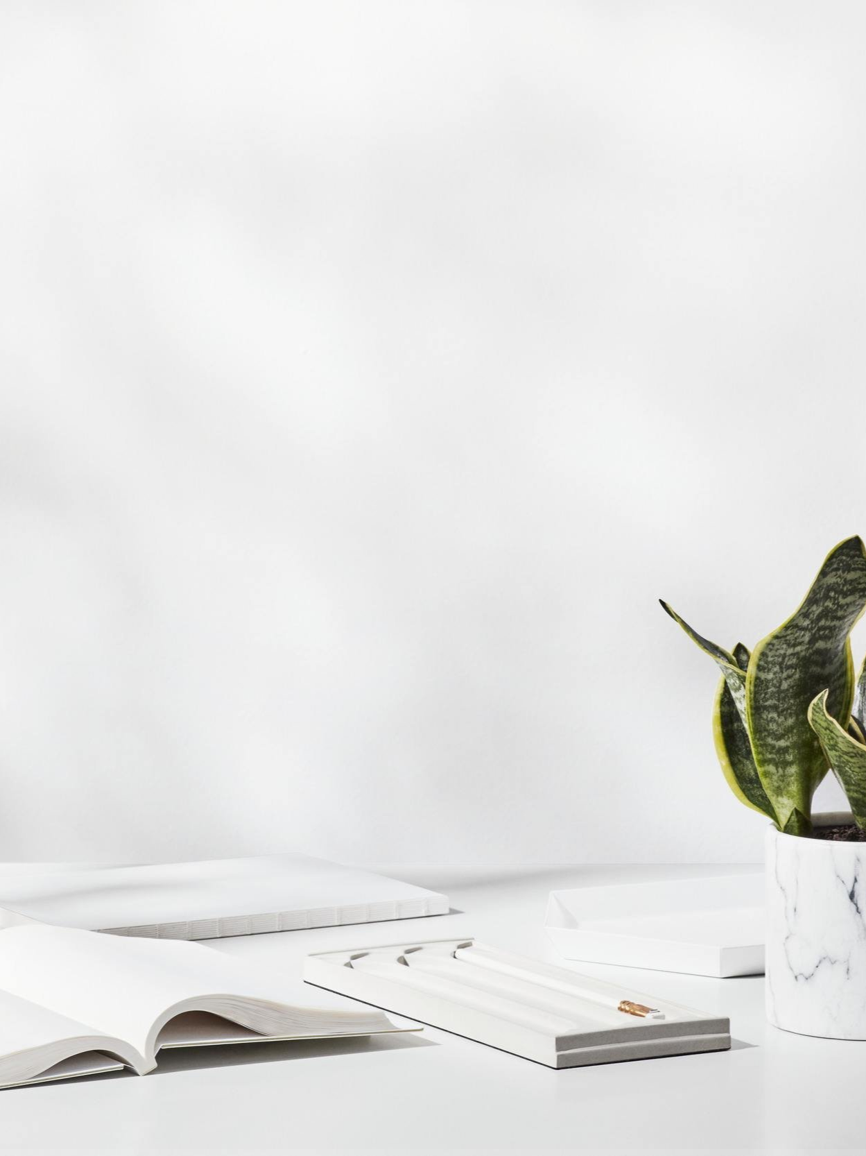 White desk with an open notebook, closed notebooks, a white box with pens, and a potted snake plant in a marble pot.