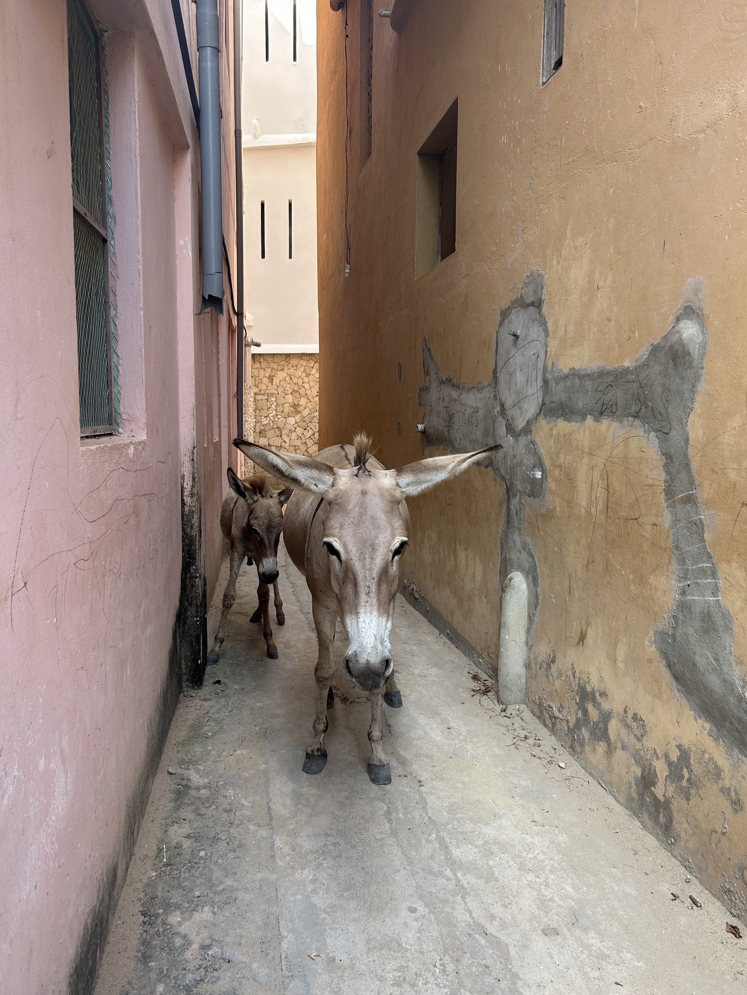 Lamu, Kenya