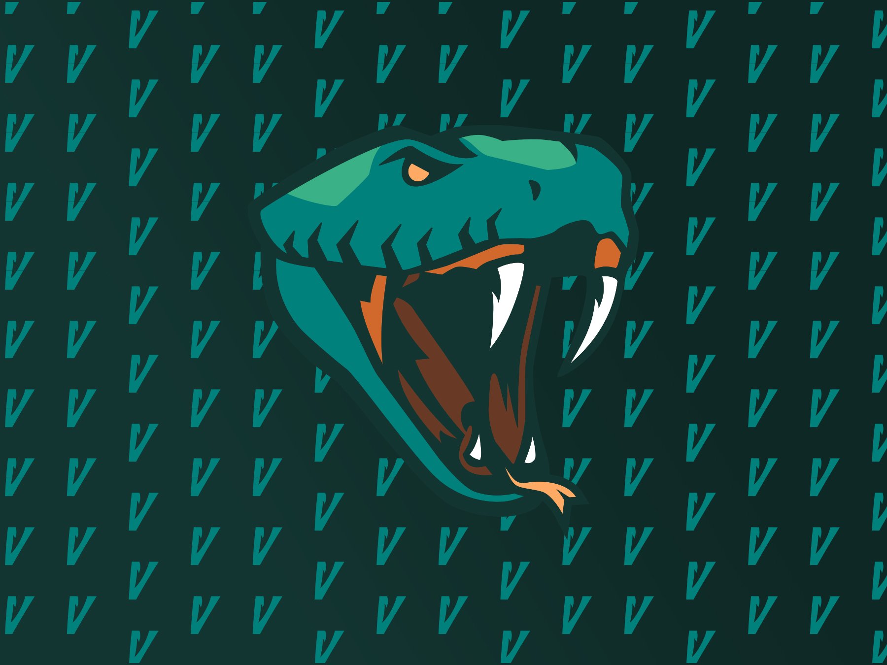 Coastal Vipers