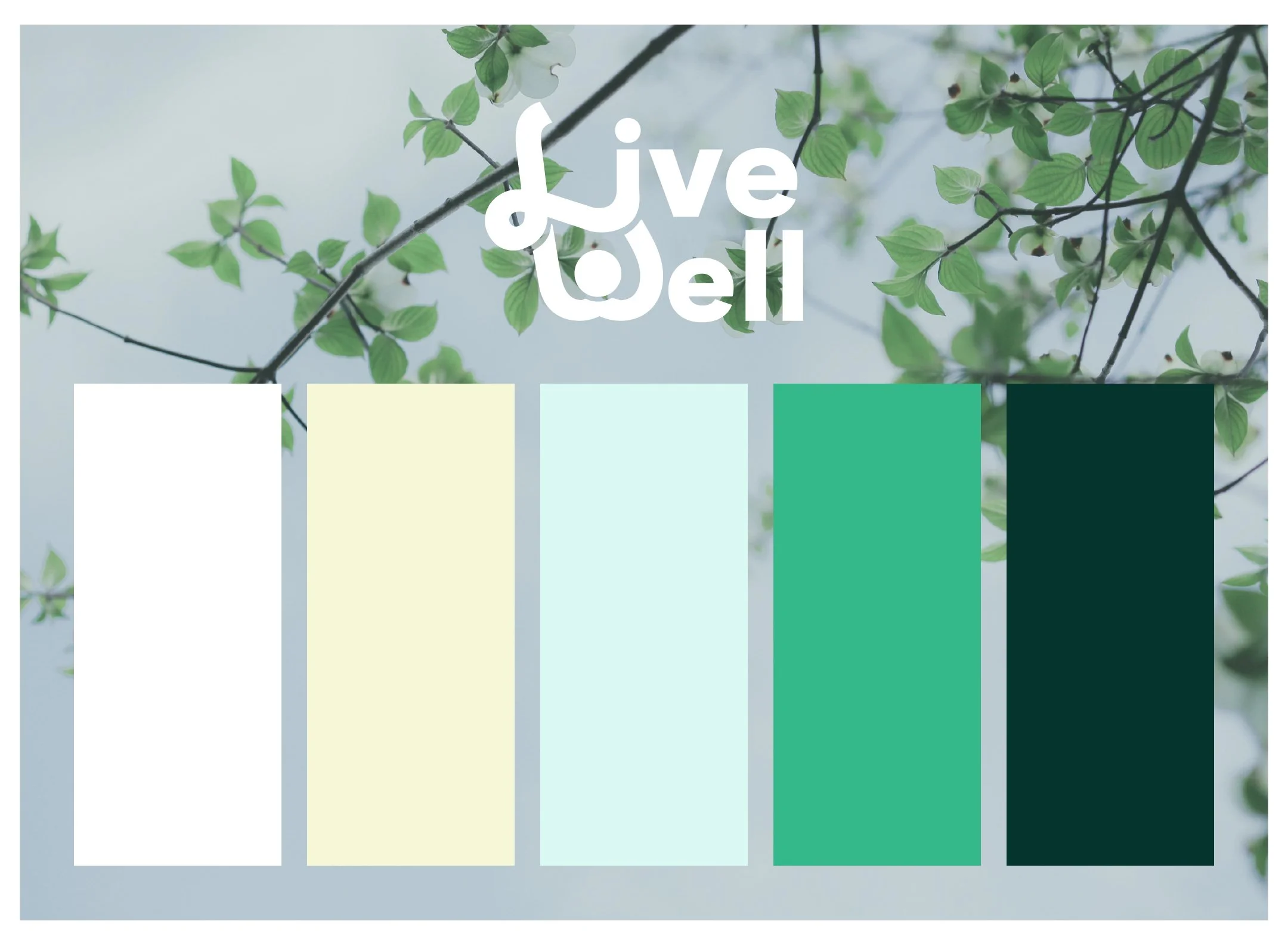 Artboard 3@2x-100.jpg