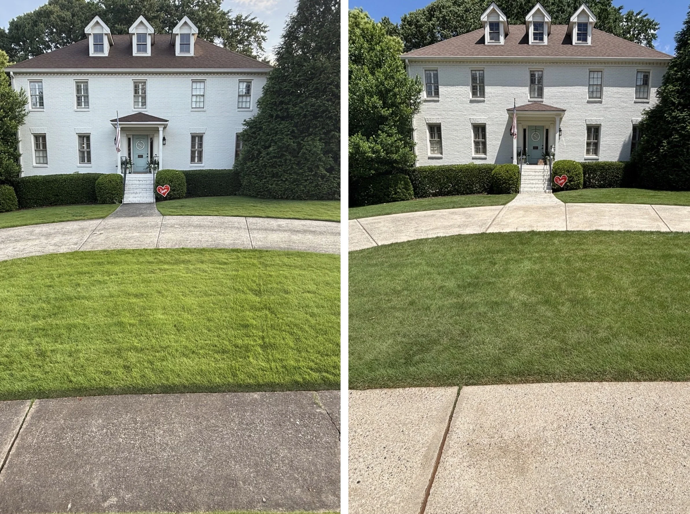 Before and after comparison of a front yard lawn and sidewalk. The left side shows a lush green lawn, while the right side shows a brown, patchy lawn.