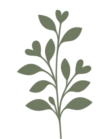 A sketch of a green leafy plant with several leaves and heart-shaped leaves at the top.