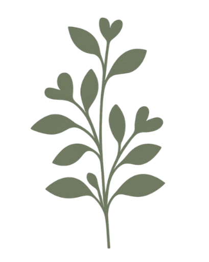 Illustration of a green sprig with heart-shaped and oval leaves.