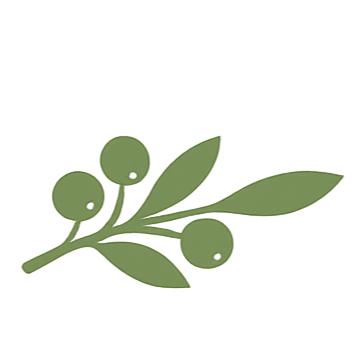 Illustration of a sprig with green berries and elongated leaves.