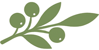 An illustration of a green olive branch with three olives and four elongated leaves.