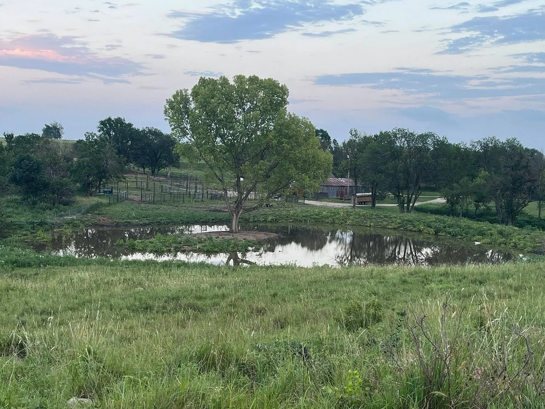 Pond Reclamation After