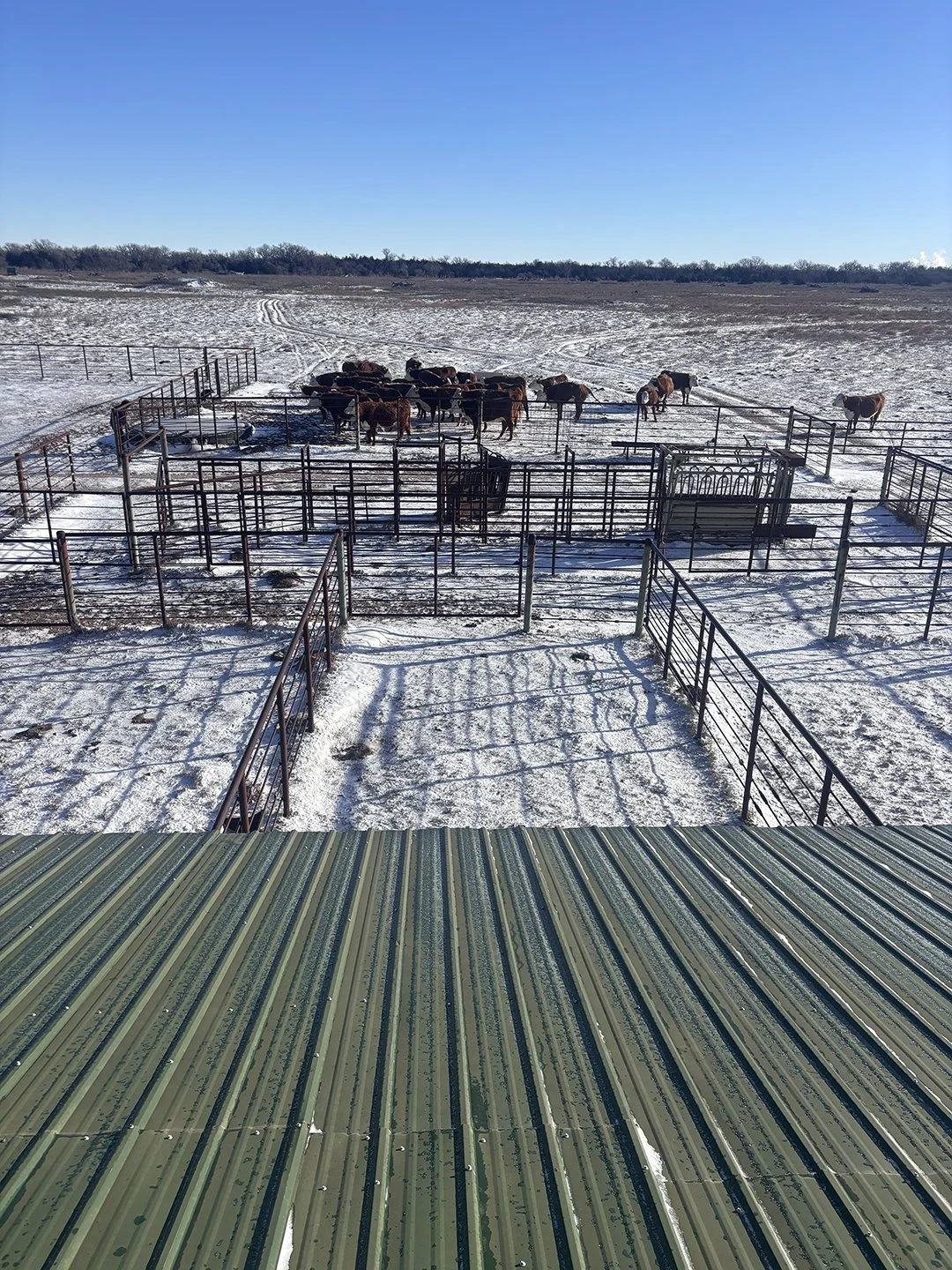 Custom Horse Corral A