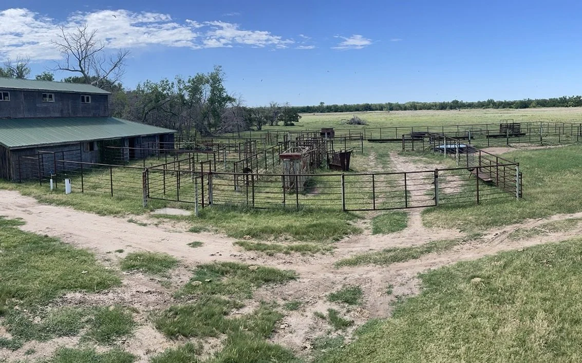 Custom Horse Corral B