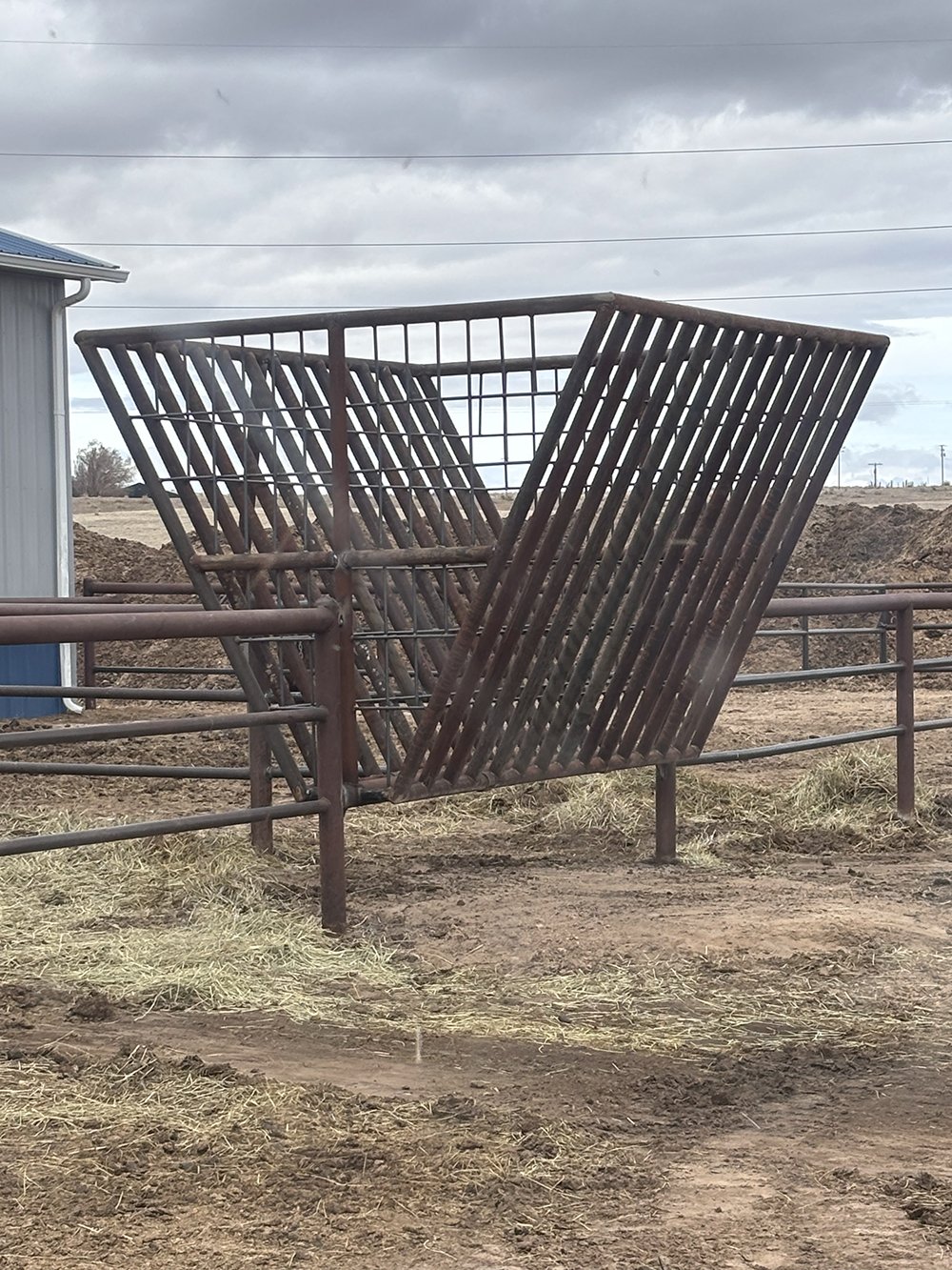 Custom Livestock Feeder Upright