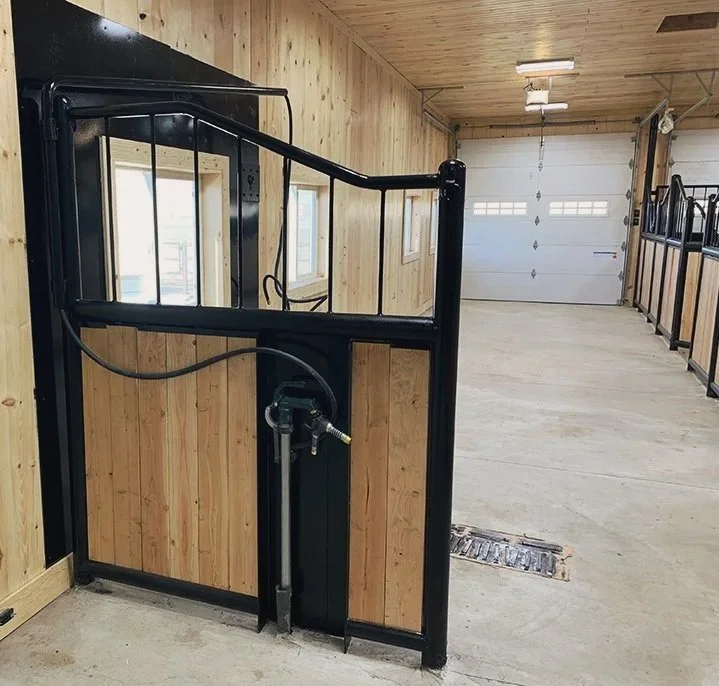 Daisy Stables
