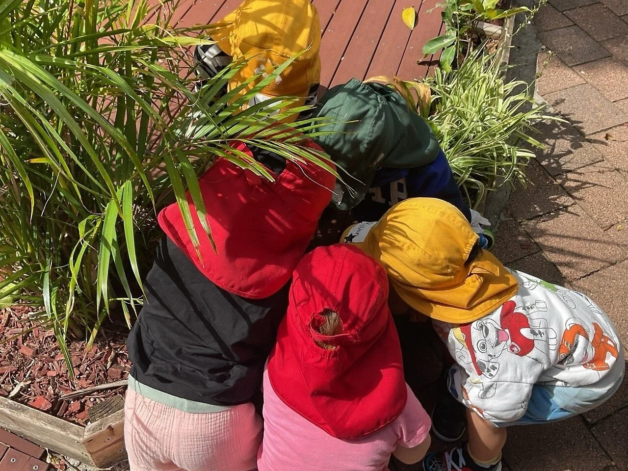 Six children wearing colorful jackets and hats are gathered around a small garden bed with green plants, peering closely at something in the soil.