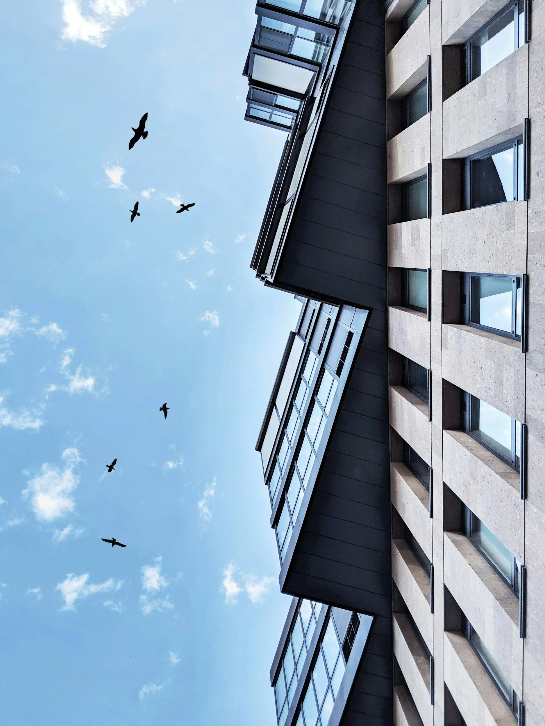 View of a modern building with balconies, a bright blue sky with some clouds, and five birds flying.