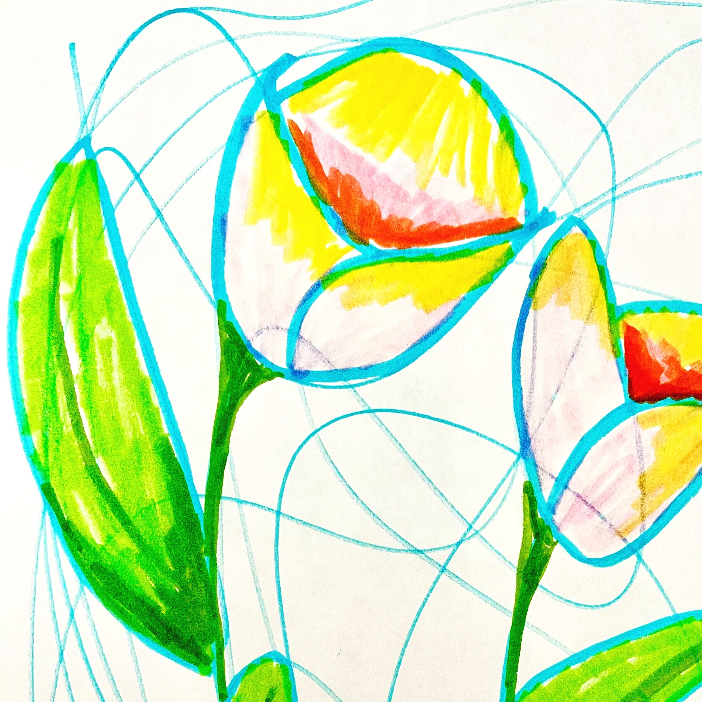 Colorful drawing of tulips with yellow petals, red and pink accents, green stems, and leaves, outlined with blue lines, on white background.