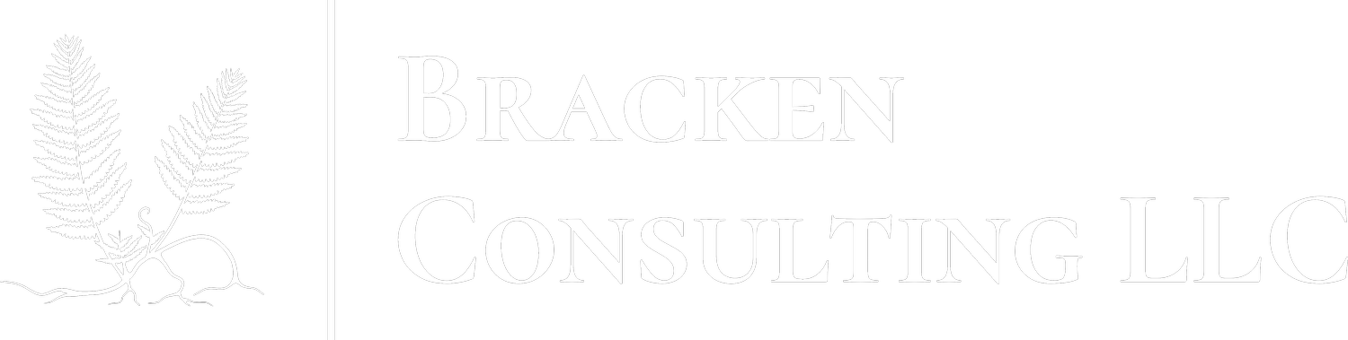 Bracken Consulting LLC