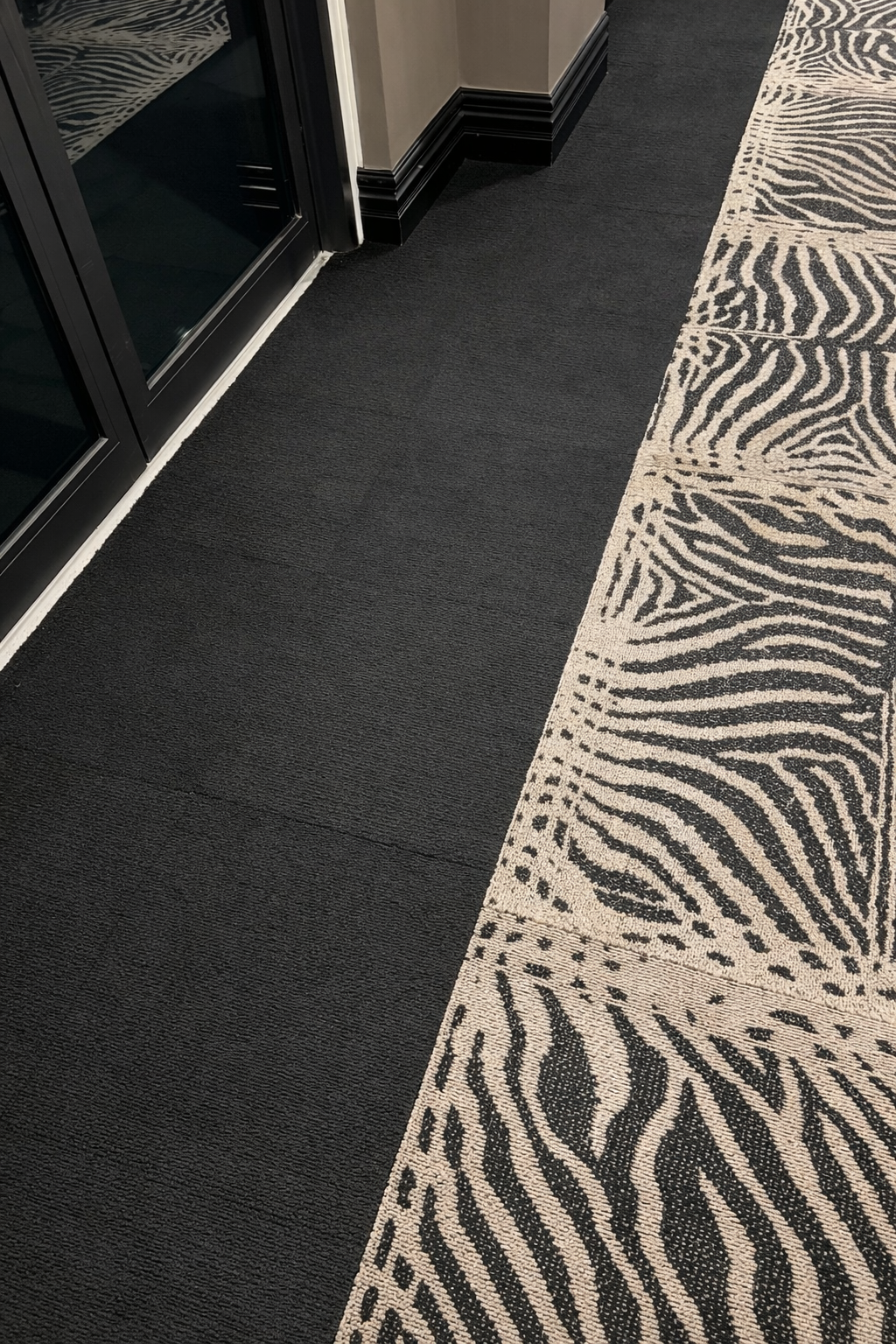 A corridor with dark carpet on one side and zebra-patterned carpet on the other, next to glass doors and beige walls.