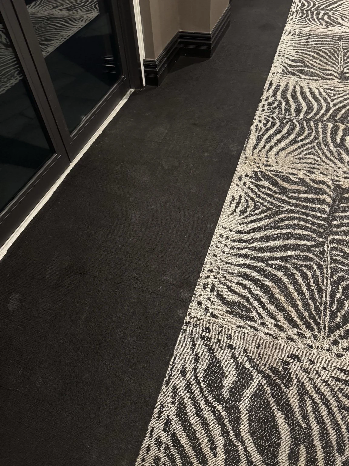 A section of indoor carpet flooring with a transition from a plain dark area to a zebra print pattern near a glass door with black frames.