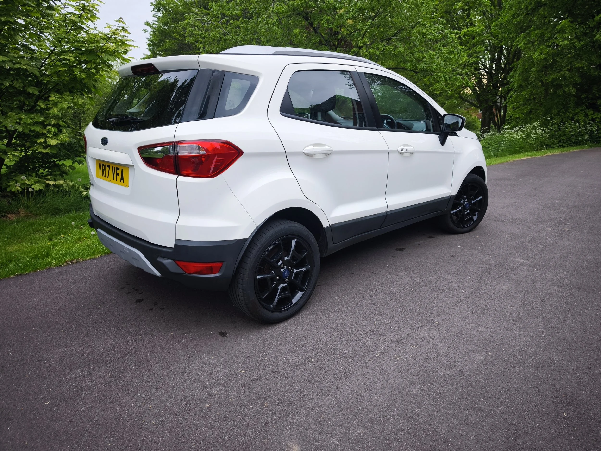 IMG_20260504_175408.jpg