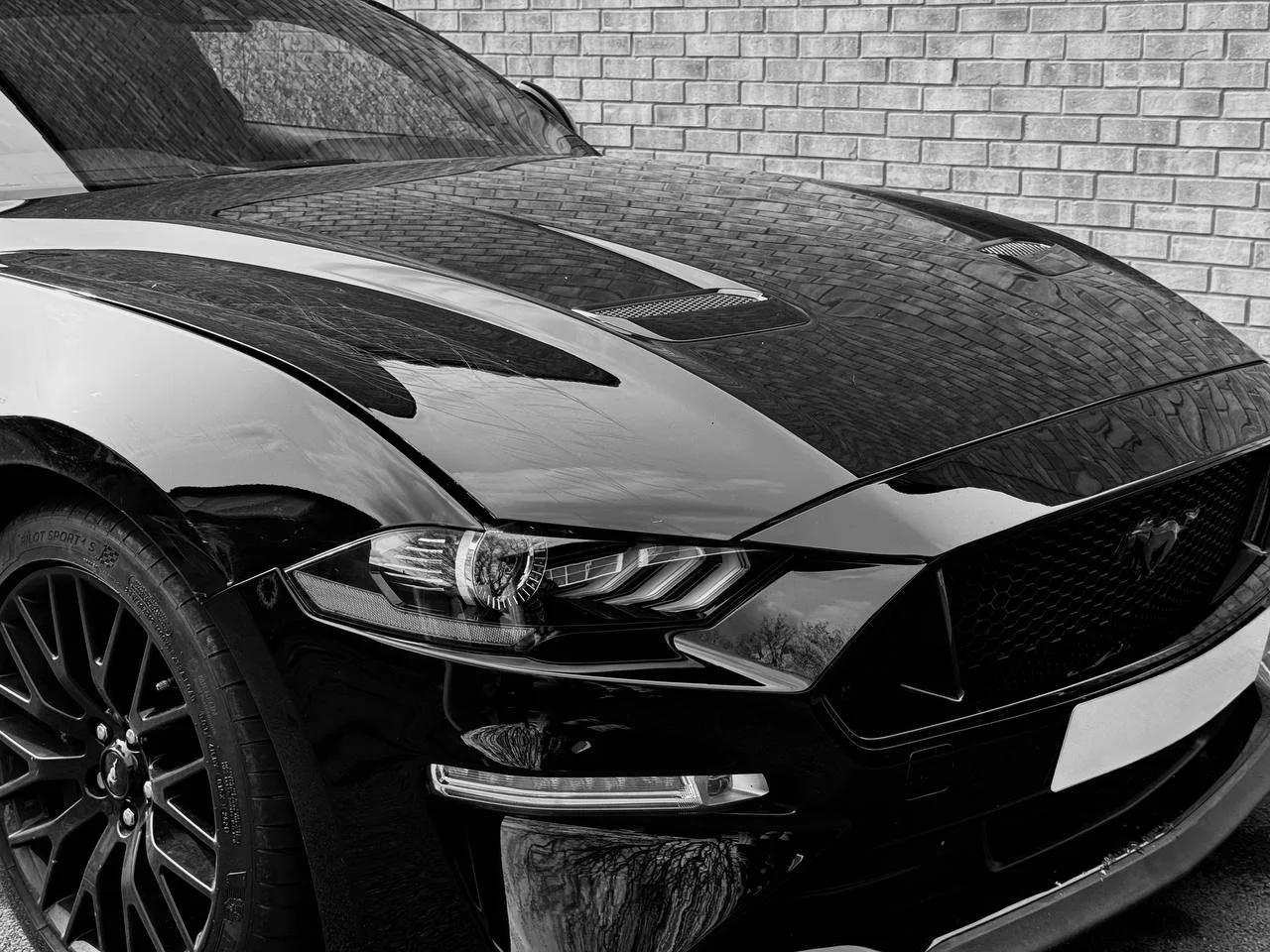 Black sports car with sleek design parked in front of a brick wall, showing the front end, headlight, and wheel.