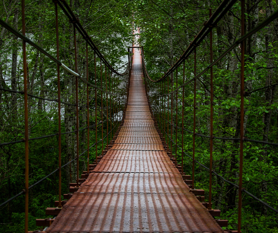 Brown suspension bridge in a forest setting.