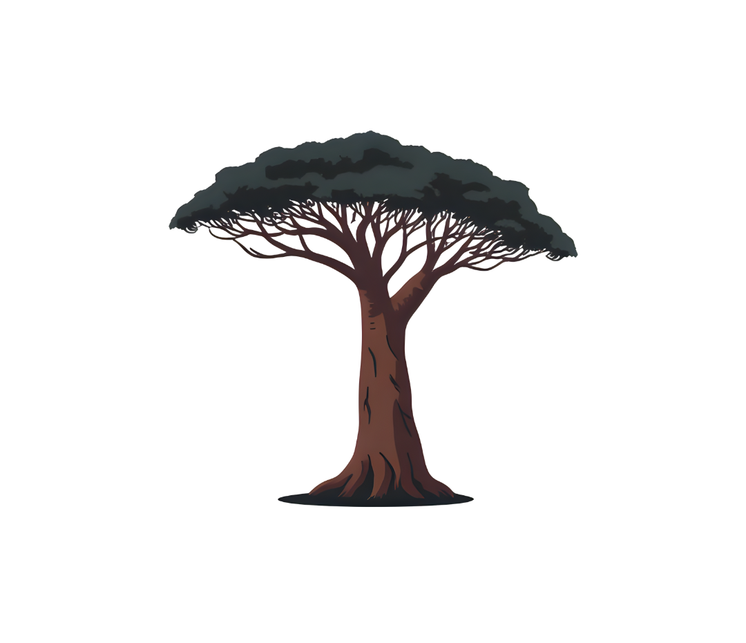 Circle with white background Boab Tree with full green branches