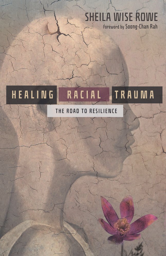 Book cover titled "Healing Racial Trauma: The Road to Resilience" by Sheila Wise Rowe, with a background featuring a cracked, earth-like surface, a silhouette of a child’s face in profile, and a purple flower near the bottom. For Trauma Recovery