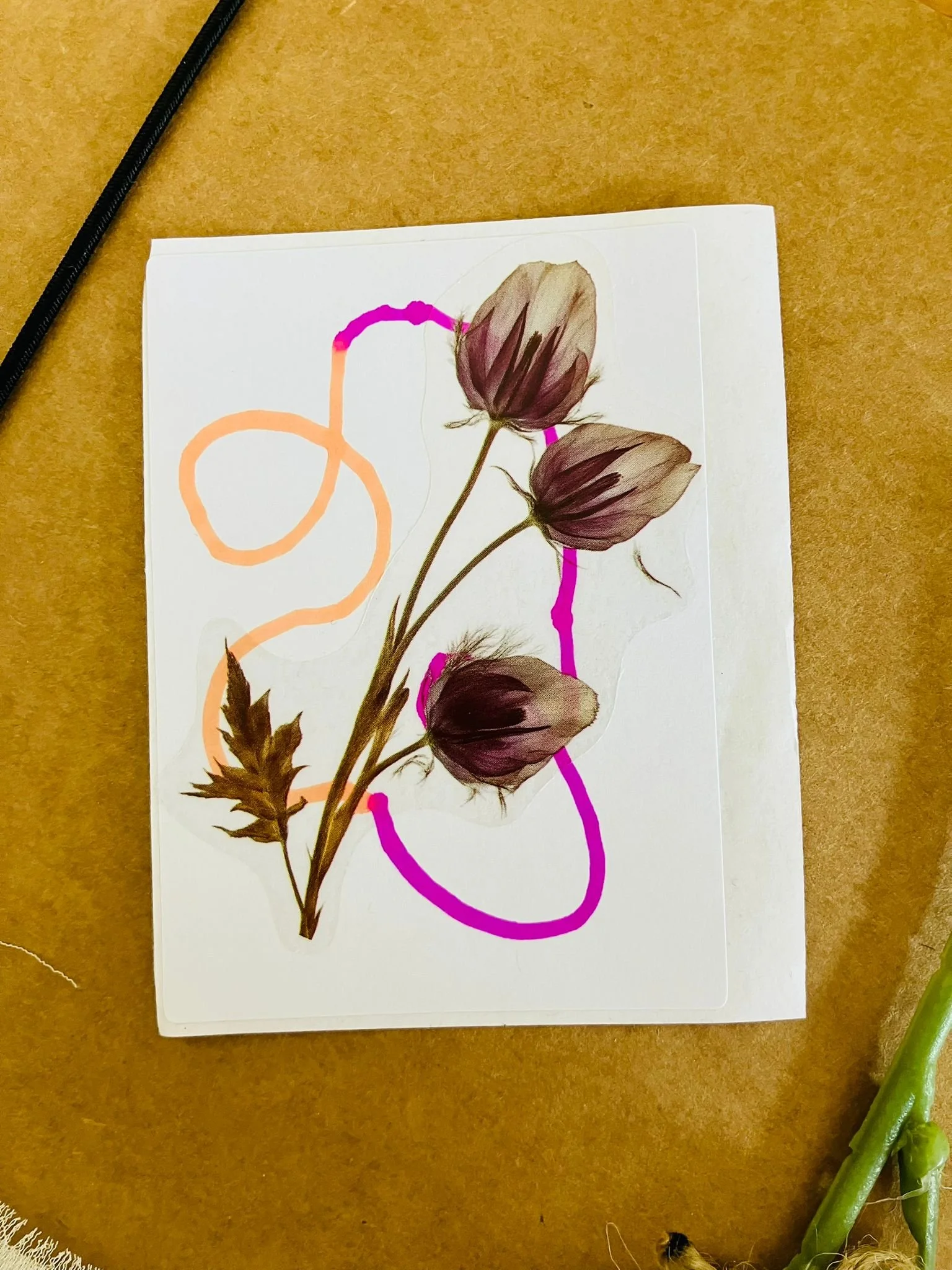 WhatsApp Image 2026-03-28 at 12.18.13.jpeg