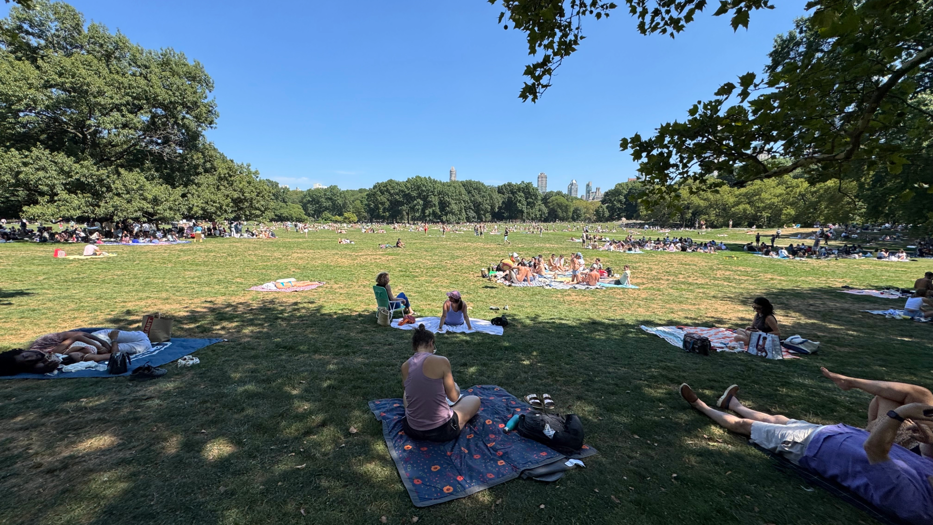   “Where’s the Beach?” became the running joke—hundreds of people sunbathing with no water in sight.  