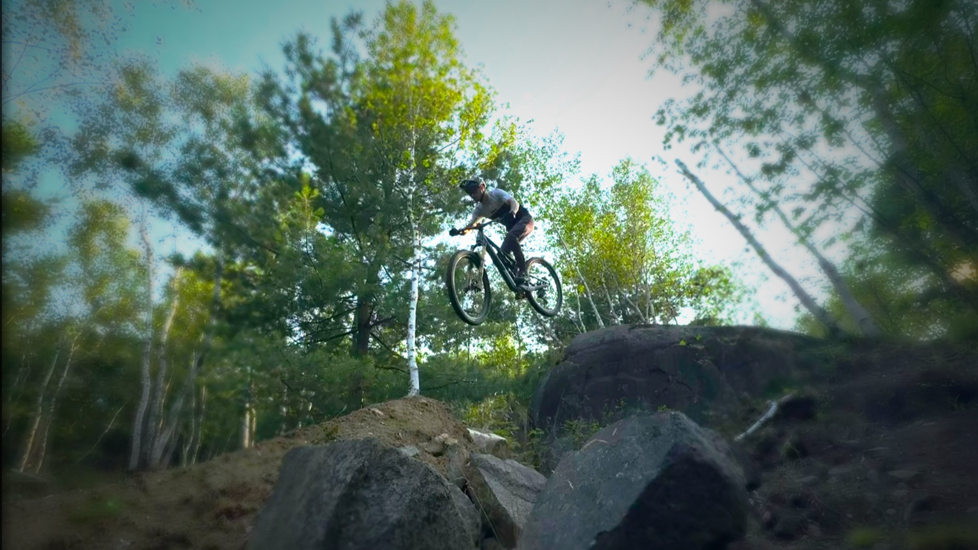 A person riding a mountain bike jumps off a rock on a trail in a wooded forest area.