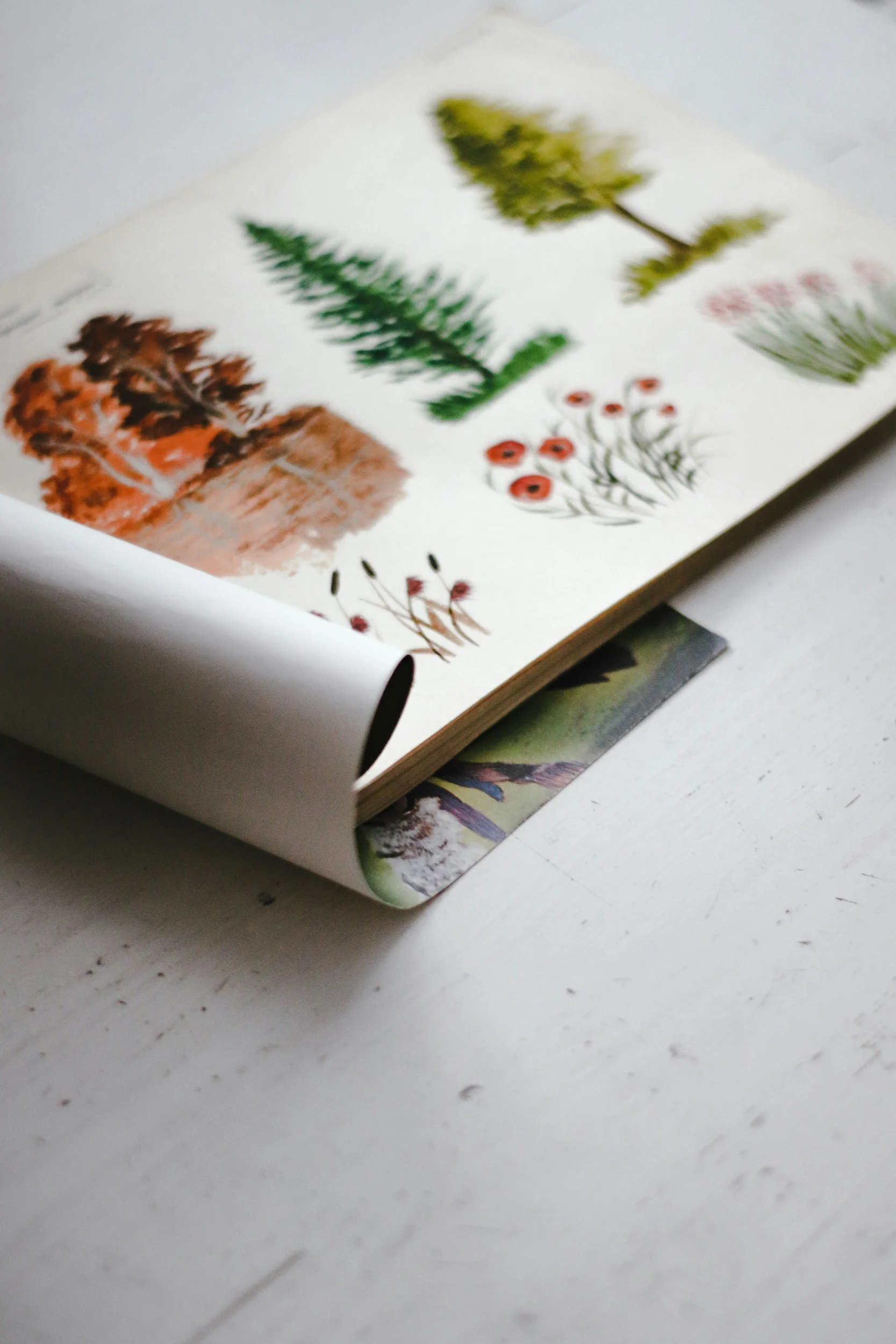 Open junk journal with depictions of trees and flowers (Photo credit: Pure Julia)