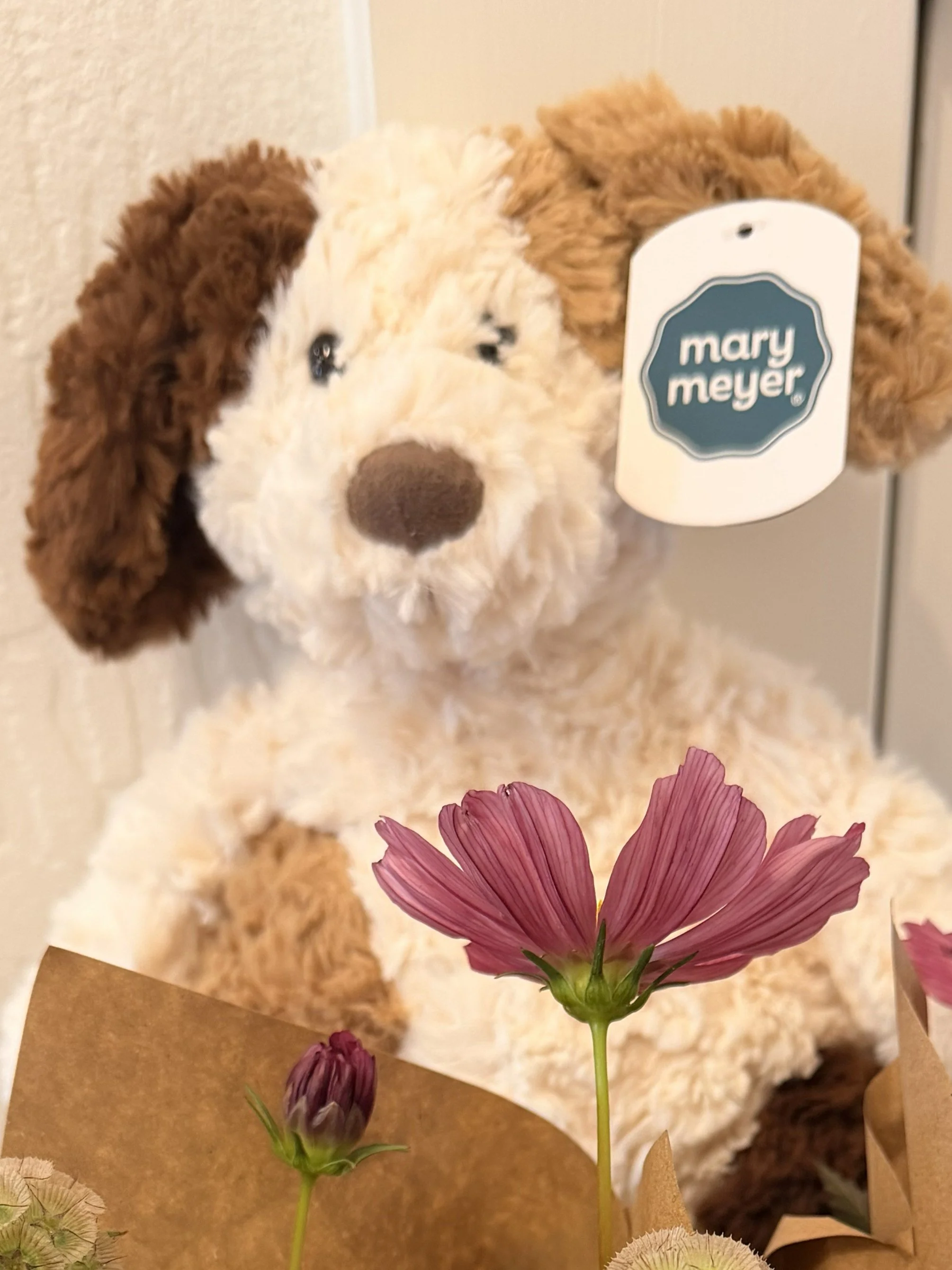 Snuggables Pup by Mary Meyer at Bloomie's Boutique