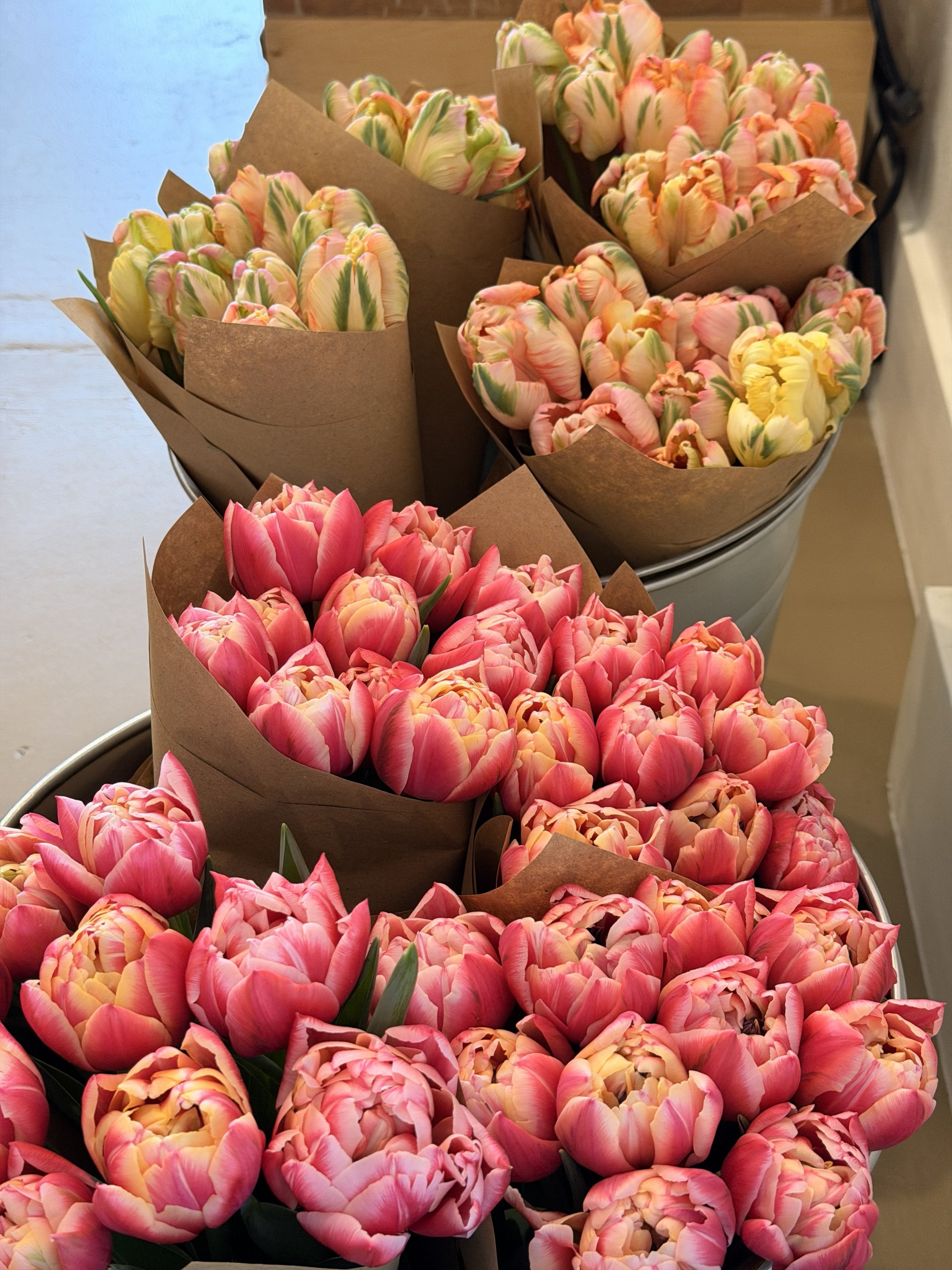 Exquisite, organic, fancy tulips from local grower, Stacey Denton, of Flora Farm & Design Studio, took center stage at Bloomie's Boutique on Valentine's Day 2026. Top: Apricot Parrot Tulips; Bottom: Columbus Double Petal Tulips. (Photo credit: Meliss
