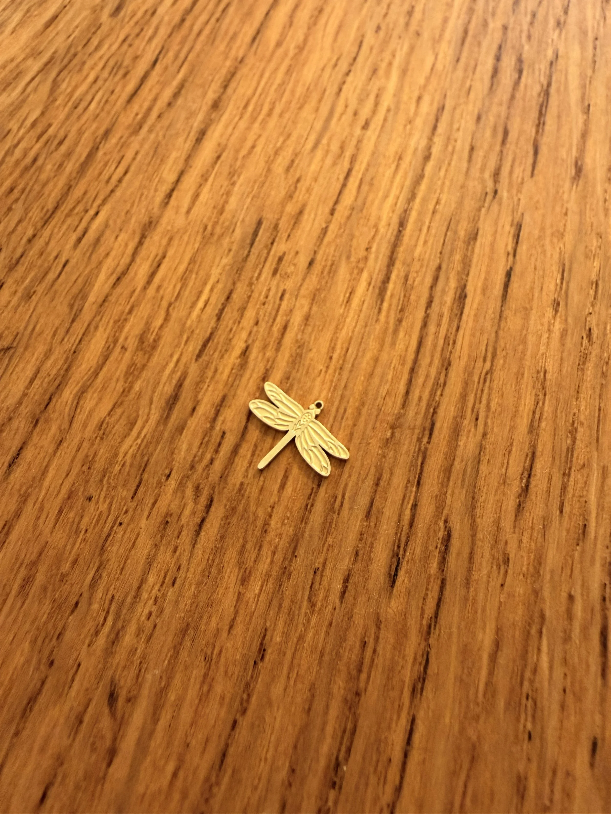Dragonfly Charm