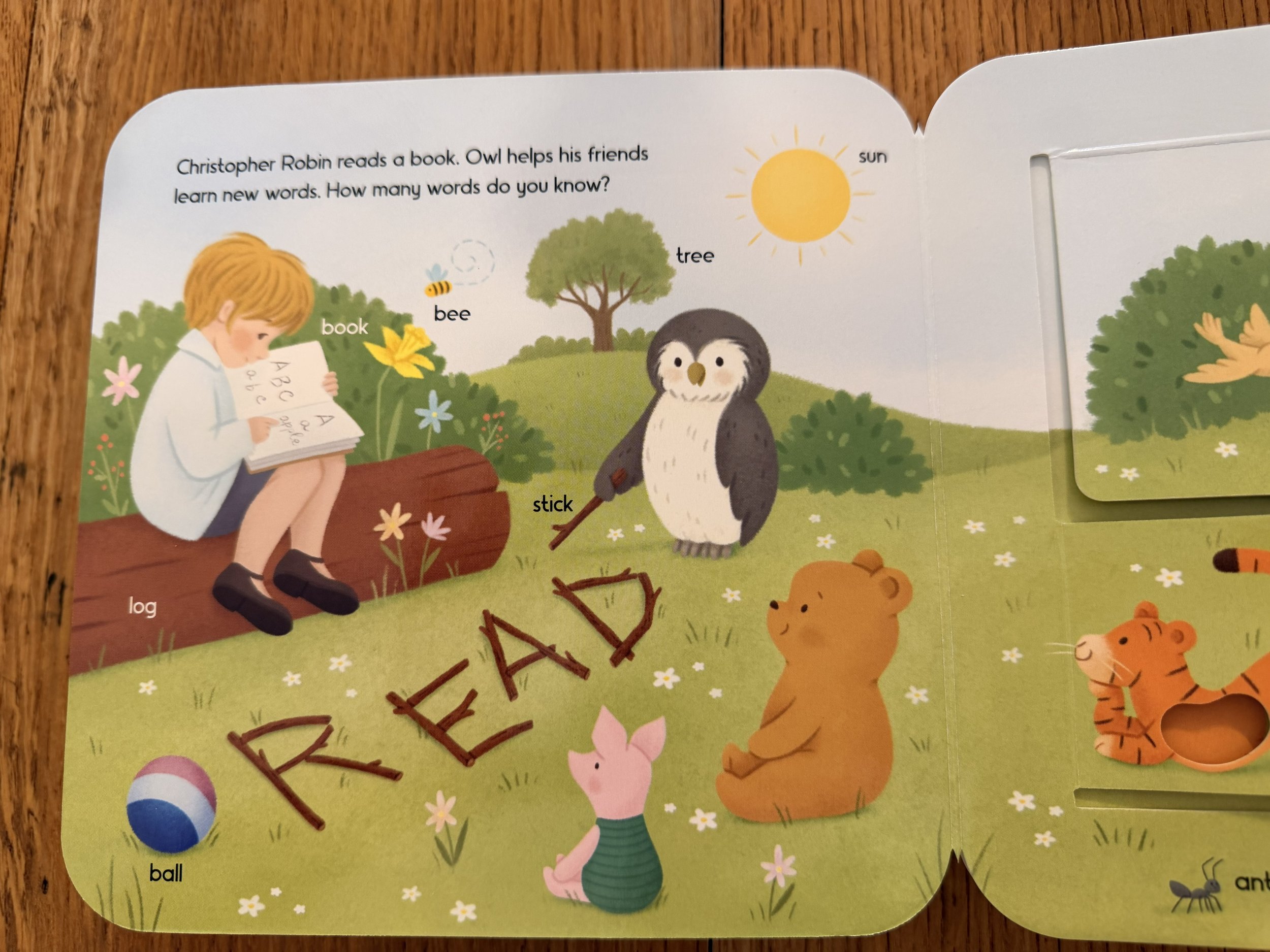 BooksforTalentElem9.30.26.#3.jpg