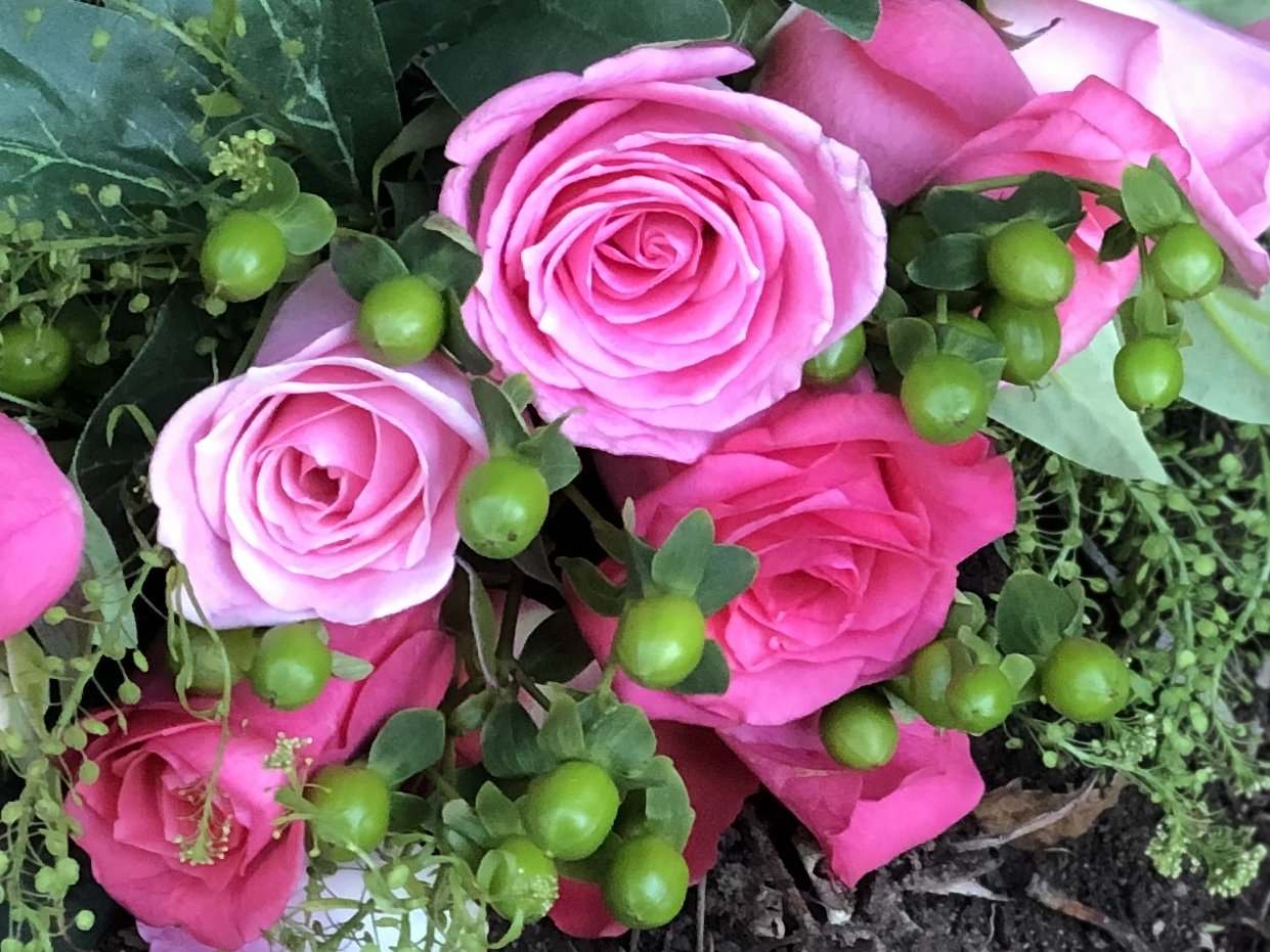 Bouquet of pink roses and green hypericum berries. (Floral design and photo credit: Melissa Mitchell-Hooge)