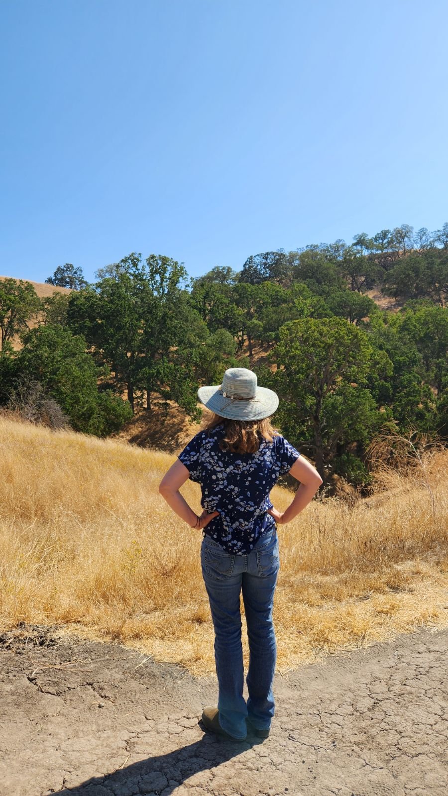 That's me, enjoying the view, while on a hike with our son, Jack, in Walnut Creek, California. (Photo credit: Jack Mitchell-Hooge)