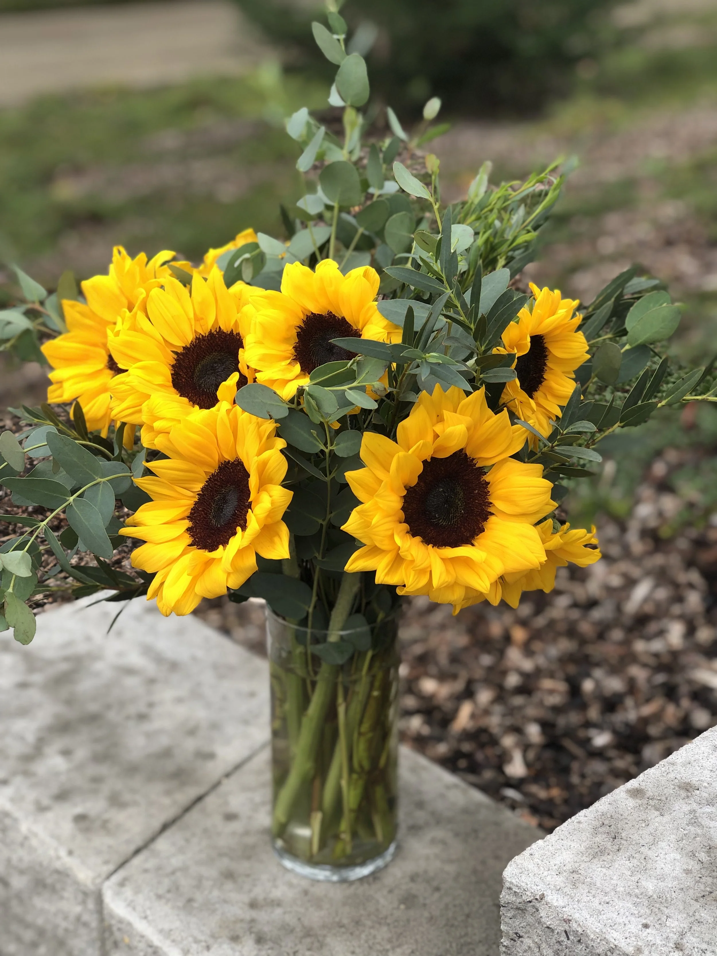 Bright and cheery sunflowers and eucalyptus arranged in a clear, glass vase for the Pediatric Oncology Unit at Asante Rogue Regional Medical Center, Medford, Oregon. (Floral design and photo credit: Melissa Mitchell-Hooge)