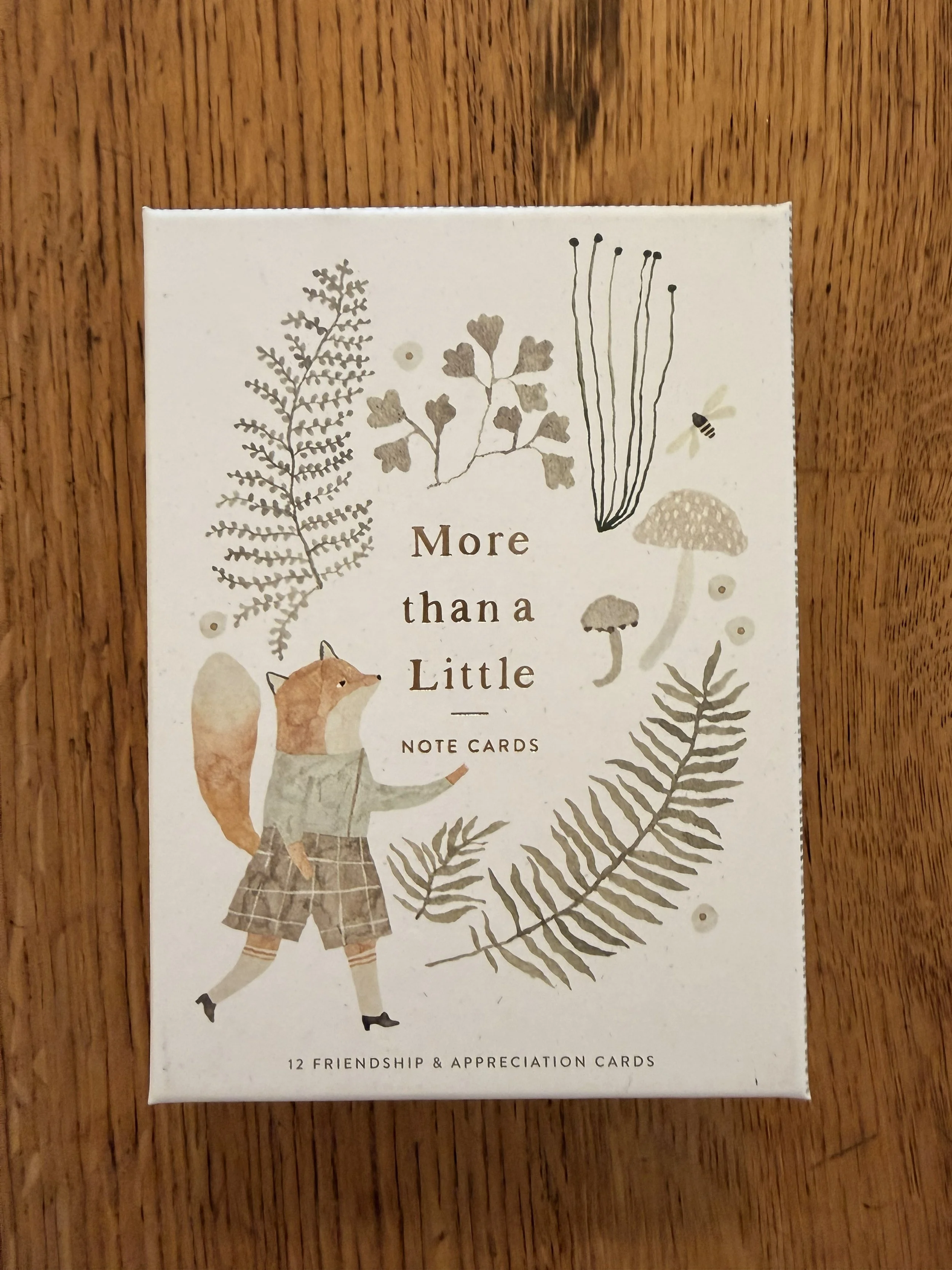 More Than A Little Notecard Set of 12, based on the book, More Than A Little, by M.H. Clark. They are the sweetest! Set includes 3 each of 4 designs and copper foil accents throughout. For sale at Bloomie's Boutique. (Photo credit: Melissa Mitchell-H