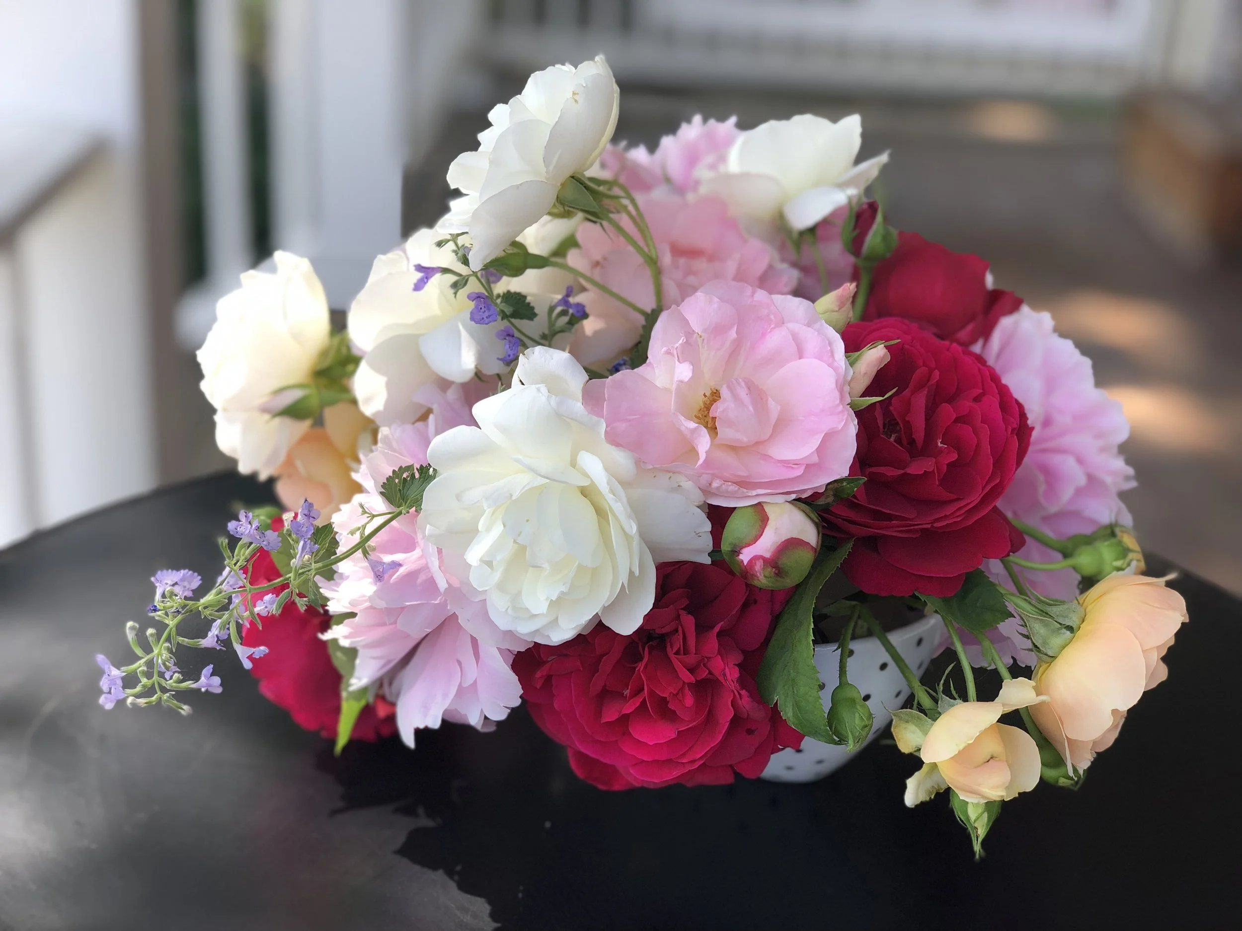 A variety of pink, white, red, and apricot garden roses and catmint arranged in a polka dotted dish. (Floral design and photo credit: Melissa Mitchell-Hooge)
