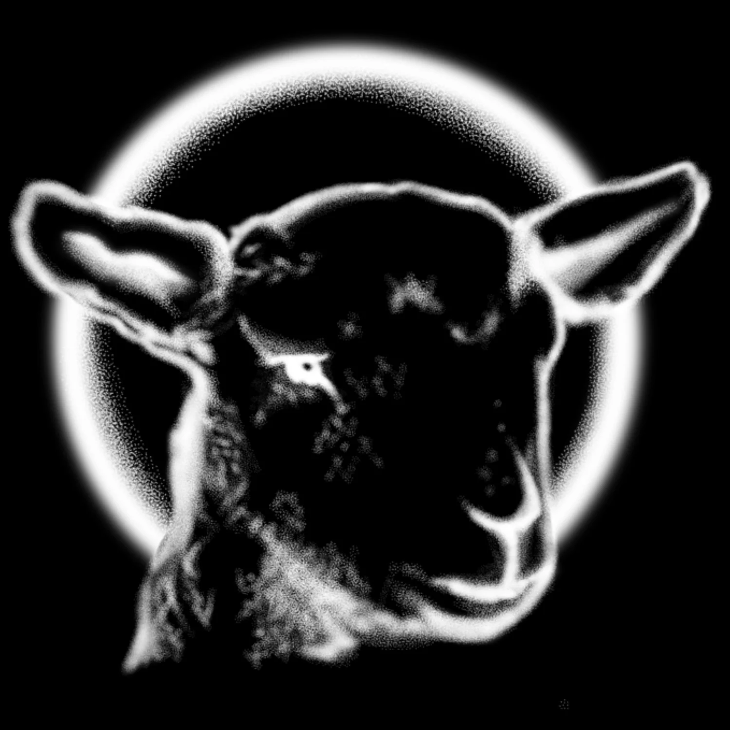 Little Honey Tattoos